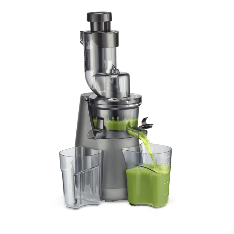 Cuisinart Easy Clean Slow Masticating & Cold Press Juicer Wayfair